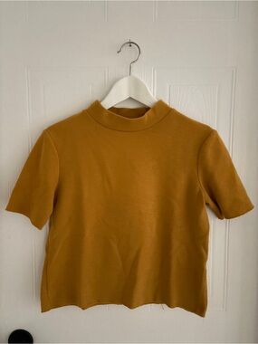 Zara Mustard Ribbed Mock Neck Top